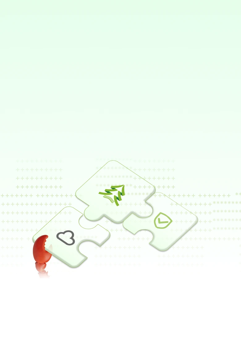 Coding Plan